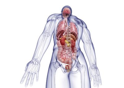 Chirurgie Viscérale et Digestive